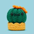 11BC-OliviaTheBarrelCactus-FW-CT4-WEB-1