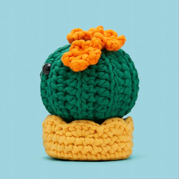 11BC-OliviaTheBarrelCactus-Side-CT4-WEB-1