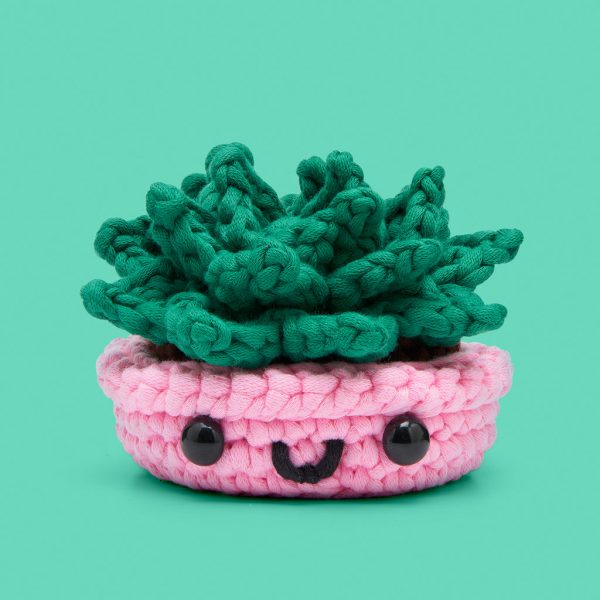 22SCC-JadeTheSucculent-FW-GT2-WEB_366746a5-0aca-4e05-b96c-9e7ede5f3a4b-1