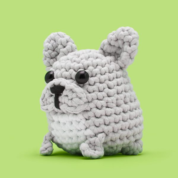 HugoTheBulldogYGT1-1