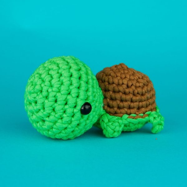 turtle_1024x1024_2x_338af04e-da7a-4791-8309-e413fb17ace7-1